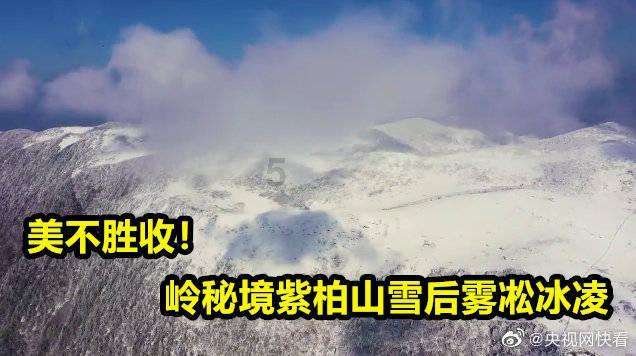 中文在线预计2023年净利润同比增119.34%至129.00%