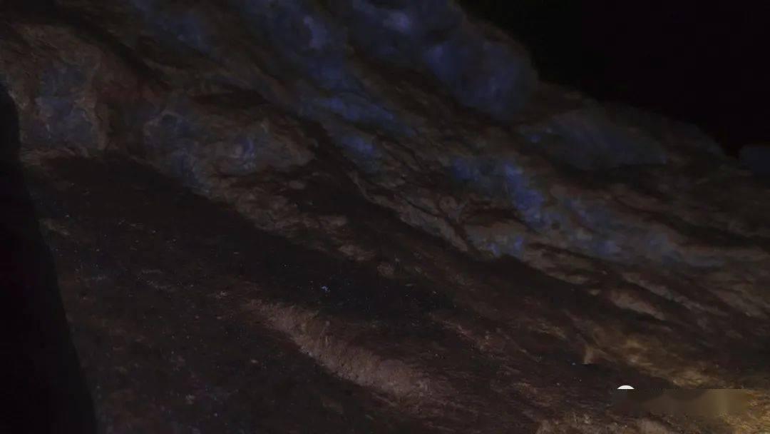 集装箱货运船
